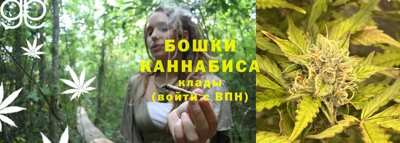 Марихуана OG Kush  Изобильный 